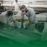 Ozemio – Case Study_Food Processing Company_Cover