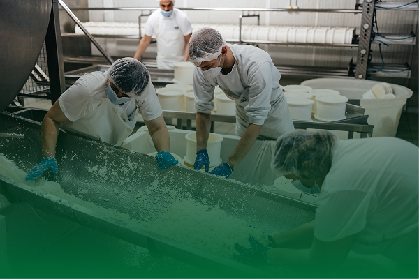 Ozemio – Case Study_Food Processing Company_Cover