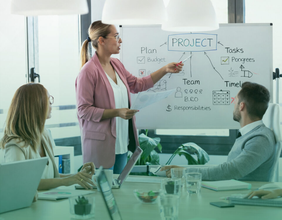 Ozemio – Your Project Managers Know the Theory_Cover Image